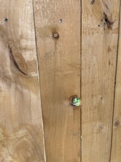 Understanding Chain-Link Fences and Their Benefits - Image 6